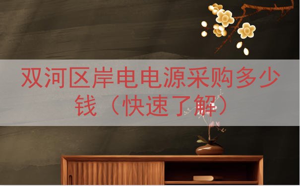 双河区岸电电源采购多少钱（快速了解）