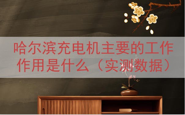 哈尔滨充电机的工作作用是什么（实测数据）